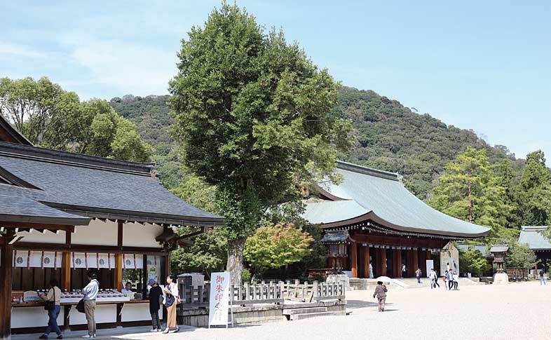 【6月22日(日)】大和三山と橿原神宮を散策〜ご褒美ソフトクリームを楽しむハイキング♪