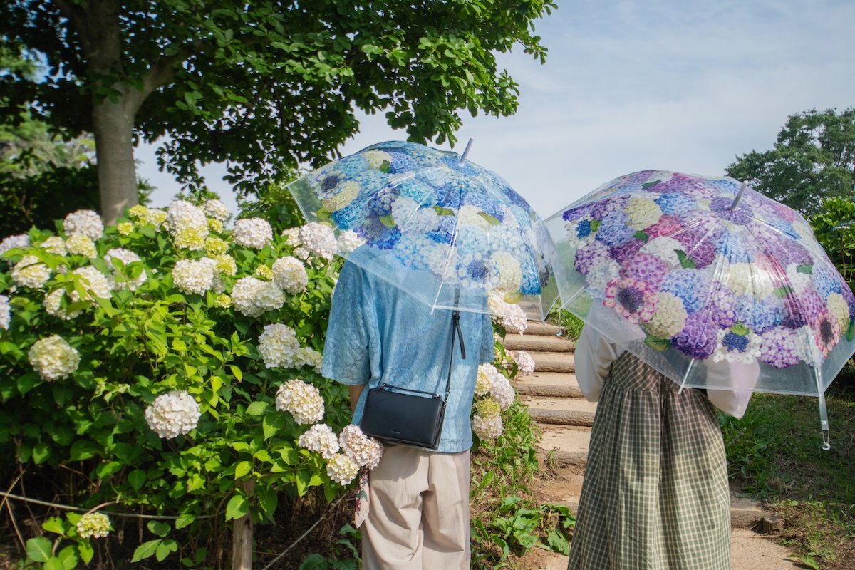 🌸梅雨限定の癒しイベント♪ 昭和記念公園でアジサイさんぽ🌸