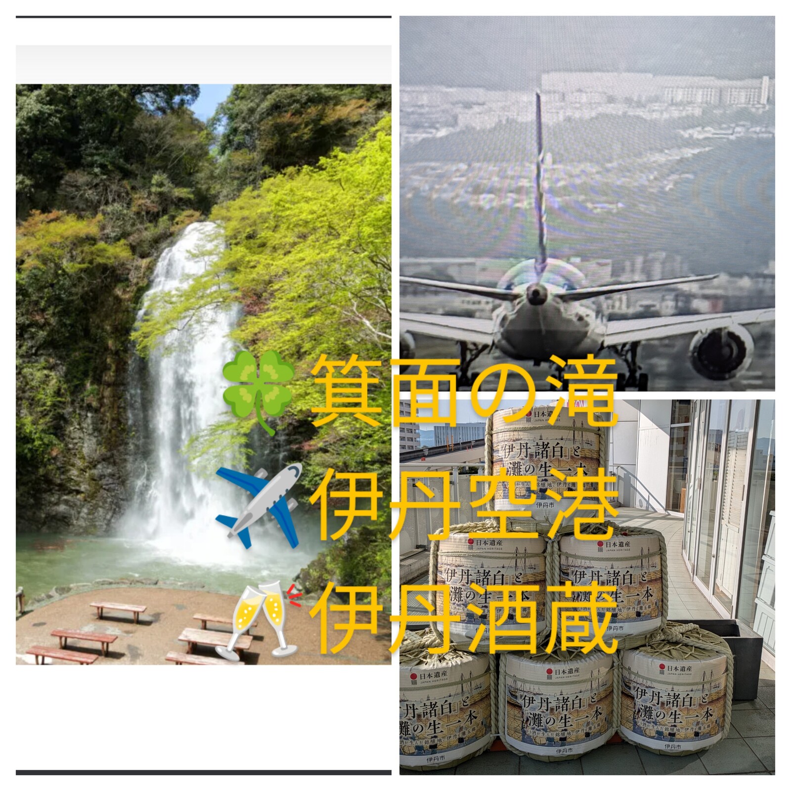 🍀箕面の滝〜✈️伊丹空港展望デッキ〜🍶伊丹酒蔵利き酒