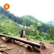 【青梅丘陵ハイキング】自然の中でリフレッシュ！夏の青梅丘陵ハイキングイベント🌄人数限定！