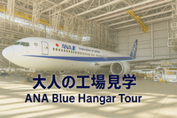 大人の工場見学【ANA Blue Hangar Tour】