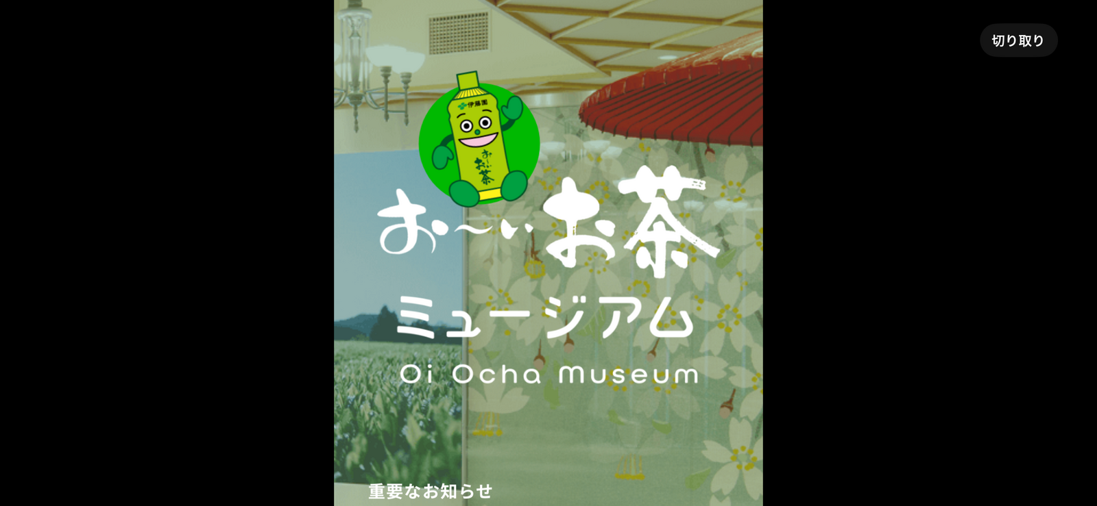 【お茶博物館】日本茶の魅力を体験する特別イベント🍵✨