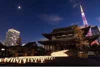 【早割中】増上寺の七夕祭りを見に行こう🎋