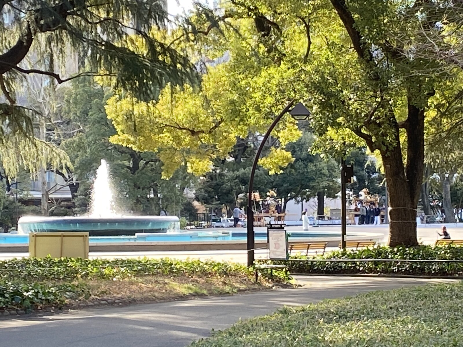 🚶🏻【日比谷公園】朝さんぽ と カフェトーク