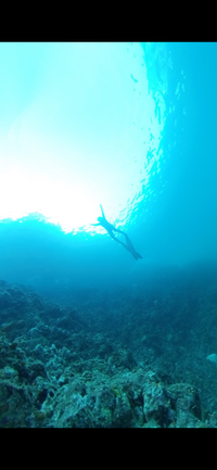 6月22日(日)西伊豆　初めましての方大歓迎!!
