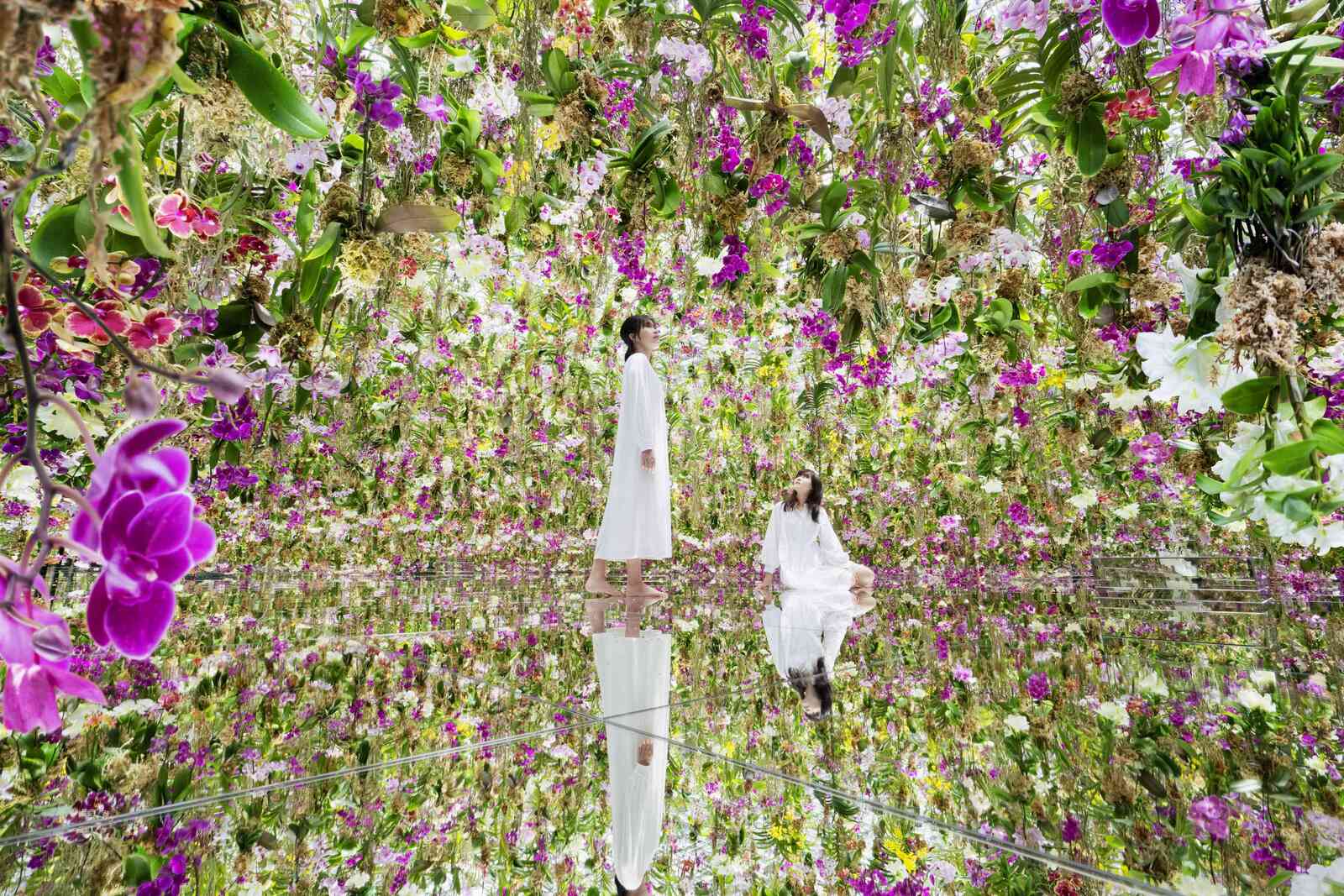 20代限定🌸チームラボで映え写真を撮りに行こう📷きちんと返信出来る方のみ