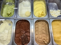 【20〜30代限定：夜アイス】真夜中牧場に行こう♩