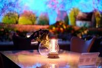 【20代30代限定】映え必須のフラワーカフェに行こう🐽🐽🐽