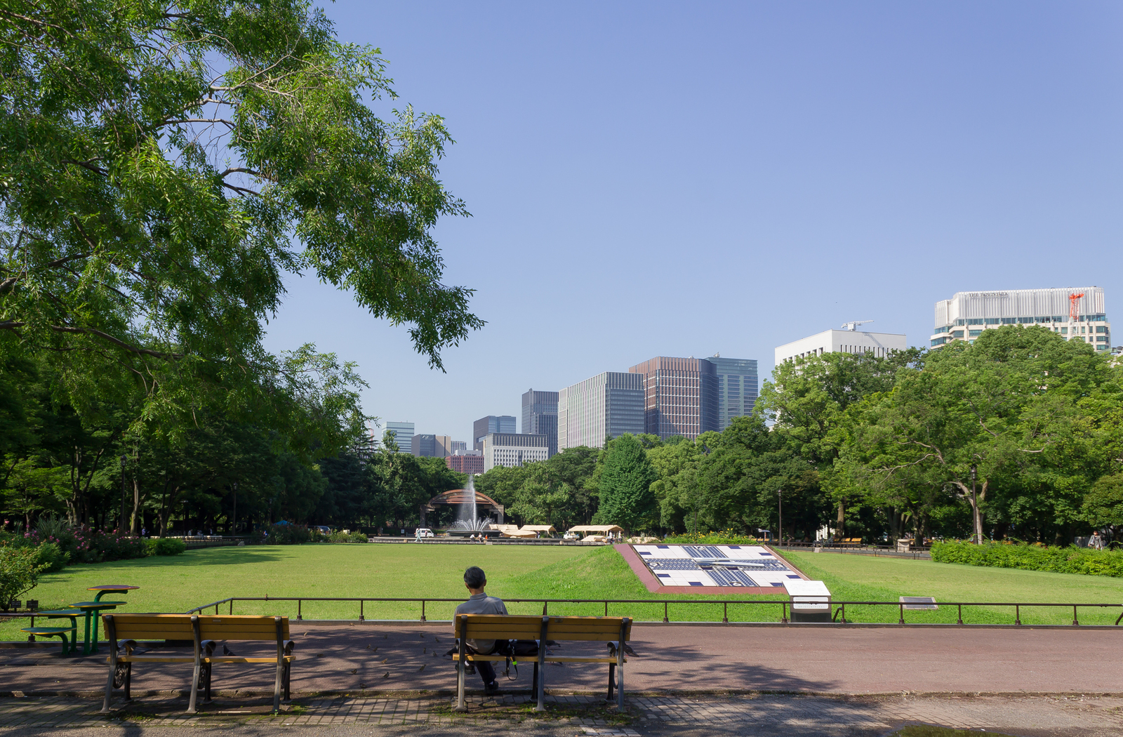 6/28(土)朝活☀️おしゃべり＆さんぽ日比谷公園☀️🚶🍀☕️