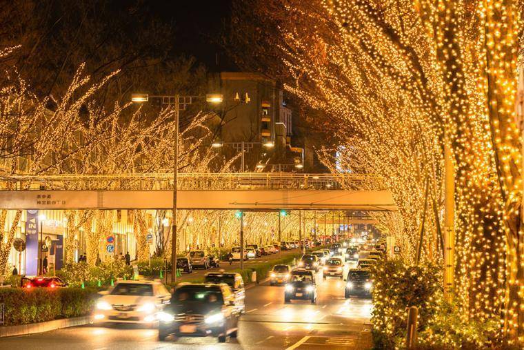 【女性主催】表参道イルミネーションを見に行こう！20代30代限定🌸🌺🐽