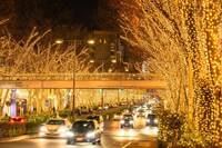 【女性主催】表参道イルミネーションを見に行こう！20代30代限定🌸🌺🐽