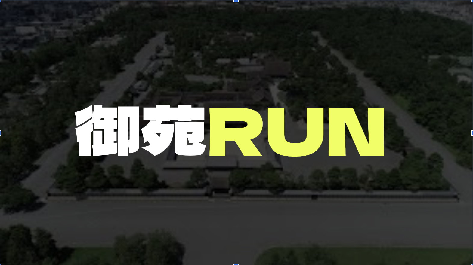 初心者ランナーと京都御苑を走りませんか