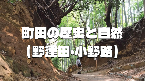 野津田・小野路で紅葉ハイキング♪町田の歴史、自然、建築、史跡などをたっぷり楽しもう😉※前半のみ・後半のみの参加も可