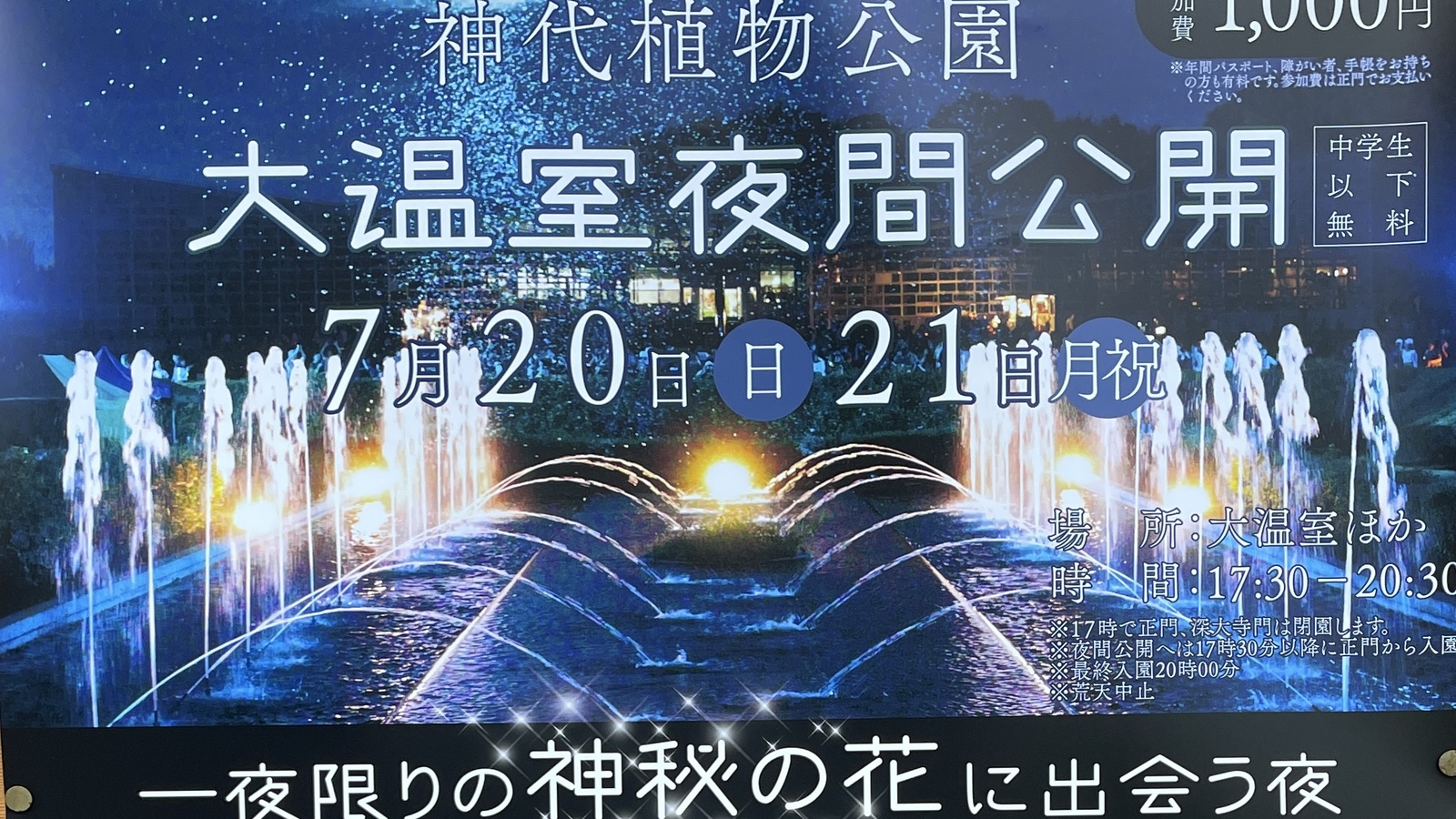 真夏☀️の夜！【7月21日】大温室夜間公開で神秘の花に出会おう