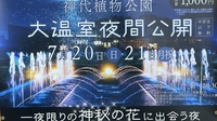 真夏☀️の夜！【7月21日】大温室夜間公開で神秘の花に出会おう