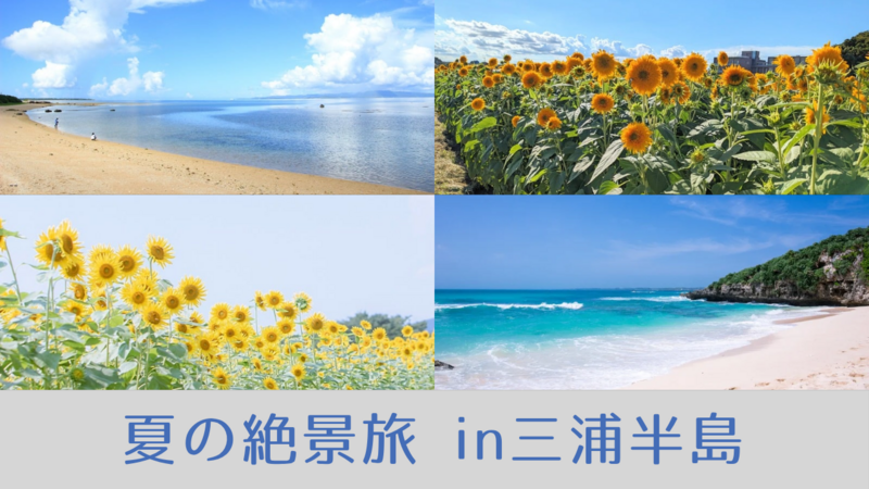 【20代主催】夏を満喫！ひまわり畑と海岸を巡る🌻🏖三浦半島日帰り旅👒✨