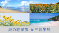 【20代主催】夏を満喫！ひまわり畑と海岸を巡る🌻🏖三浦半島日帰り旅👒✨