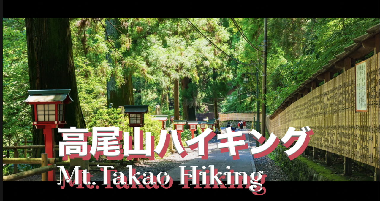 自然を超満喫！高尾山ハイキング　上り4号路☞下り6号路