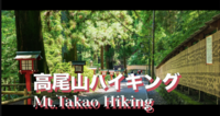 自然を超満喫！高尾山ハイキング　上り4号路☞下り6号路
