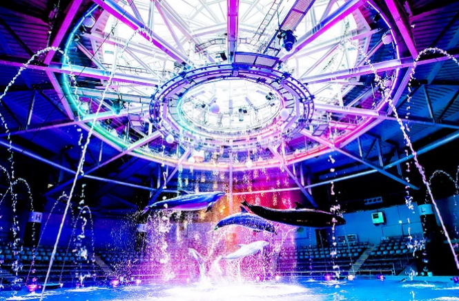 【アクアパーク品川】🐬夏の水族館を楽しもう✨