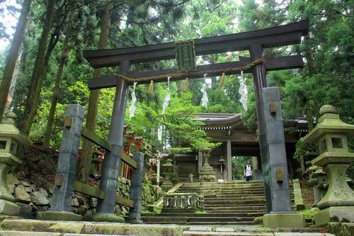 京都愛宕山ハイキング　歴史と自然を楽しもう！