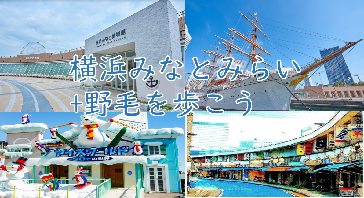 【人気観光地の昔と今を知ろう】横浜みなとみらい+野毛を歩こう（説明・解説有）