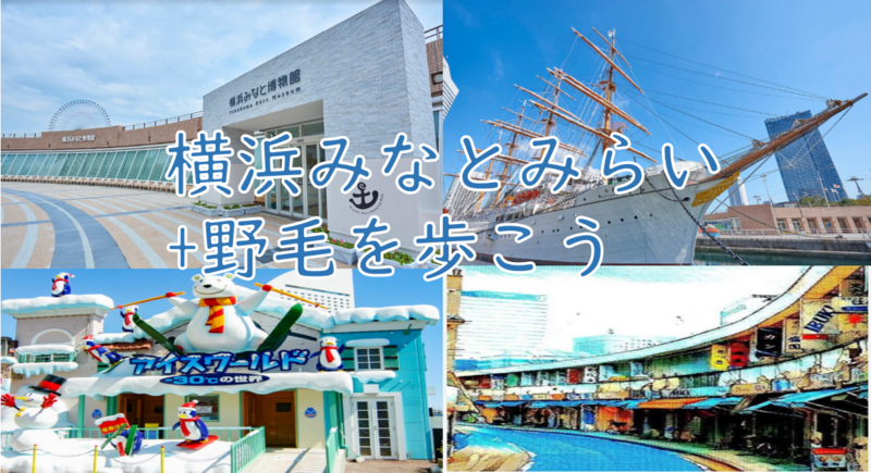 【人気観光地の昔と今を知ろう】横浜みなとみらい+野毛を歩こう（説明・解説有）