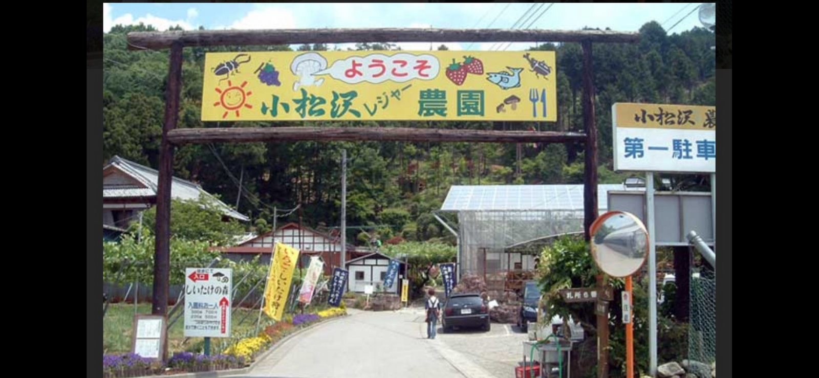 【🗻秩父小松沢農園🍇秋のぶどう狩り体験！旬の味覚を満喫＆数量限定ツアー
