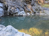 【奥多摩×ハイキング】夏は清流でリフレッシュしましょう🌿🚶‍♂️