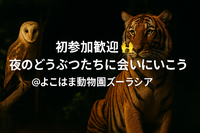 『初参加歓迎 🙌 夜のどうぶつたちに会いにいこう！＠よこはま動物園ズーラシア』