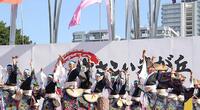 【早割中】大人気のよさこい祭りに行こう🍺