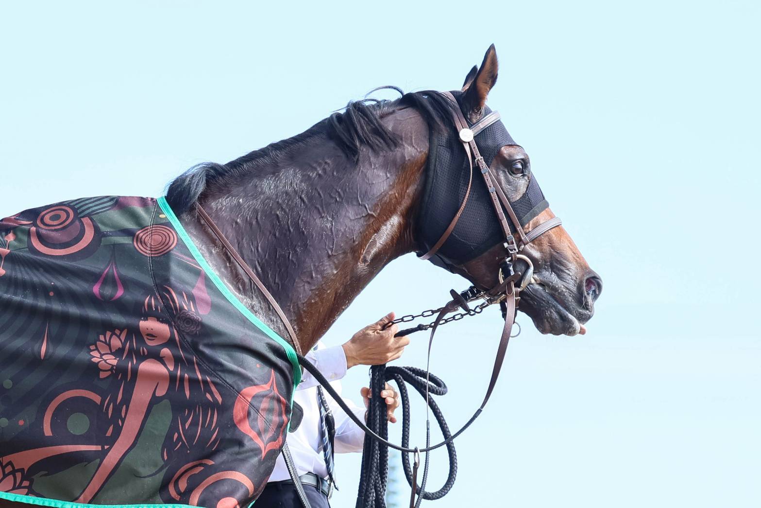 7/20(日)函館競馬場で初夏の爽快レース体験＆交流会！現役競馬関係者のパドック講座・予想大会も！途中参加＆退席も👌