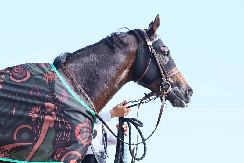 7/20(日)函館競馬場で初夏の爽快レース体験＆交流会！現役競馬関係者のパドック講座・予想大会も！途中参加＆退席も👌