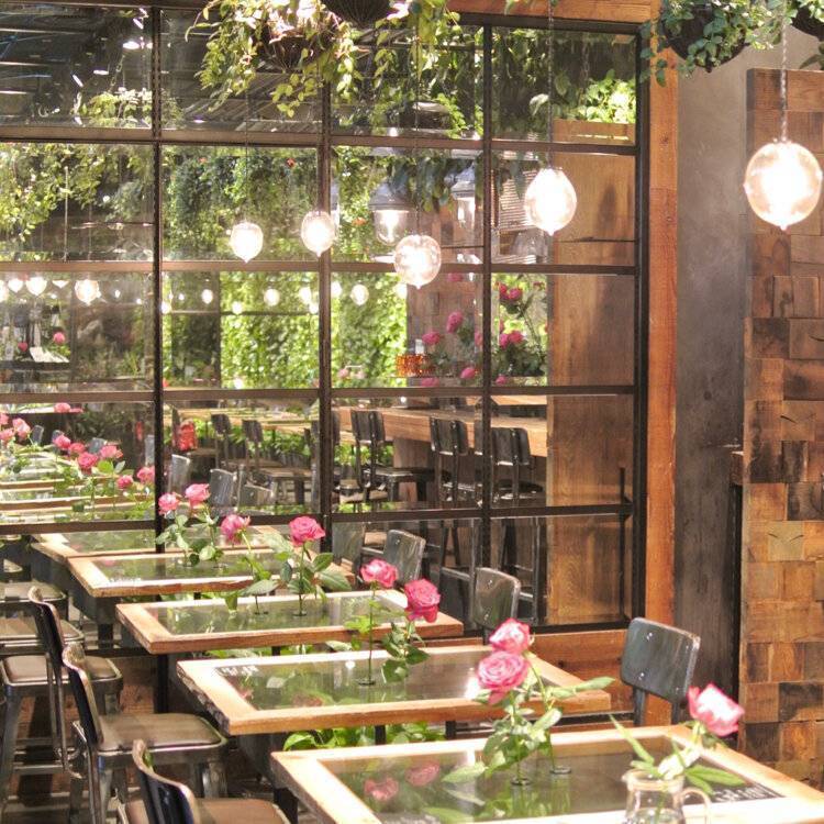 【早割中】映えるフラワーカフェに行こう！おすすめはバラの紅茶です🐽🐽