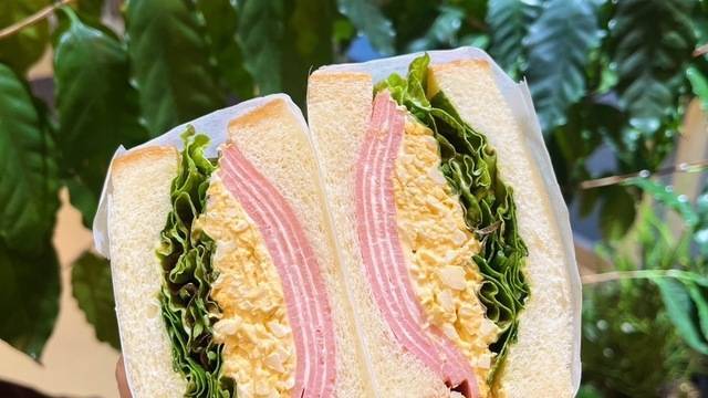 【早割中】ボリュームたっぷりのサンドイッチ専門店に行こう🌺🌺