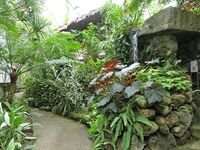 【30代中盤〜40代中心】高島平の熱帯植物館見学&ランチ