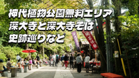 神代植物公園「無料エリア」と深大寺と史跡巡り、深大寺そばを楽しもう😉