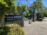 【20代主催】都内で唯一の無料動物園🐘と東京3大タワーの一つ🗼を巡る旅🚶