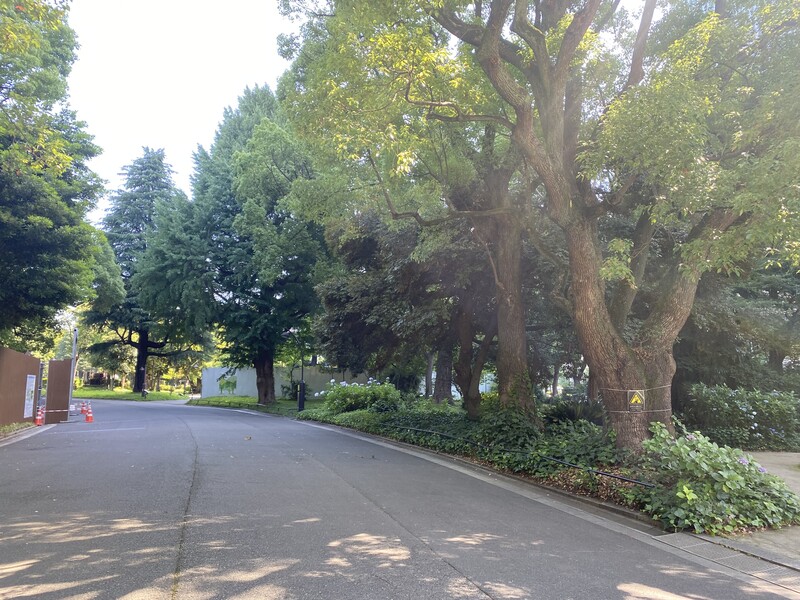 🚶🏻【日比谷公園】朝さんぽ と カフェトーク