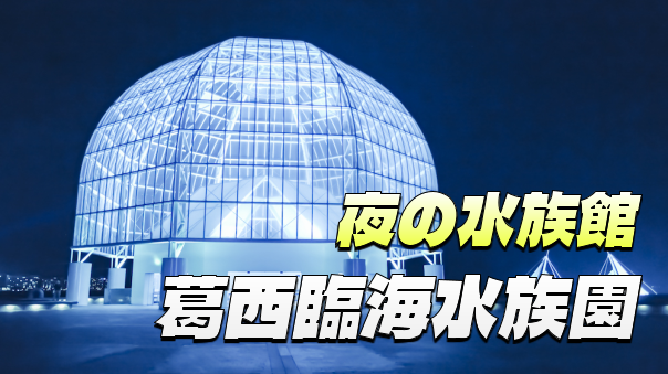 先着3名無料〈途中参加OK〉夜の葛西臨海水族園に行ってみよう！特別ガイドもあるようです😊