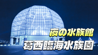 早割無料〈途中参加OK〉夜の葛西臨海水族園に行ってみよう😊