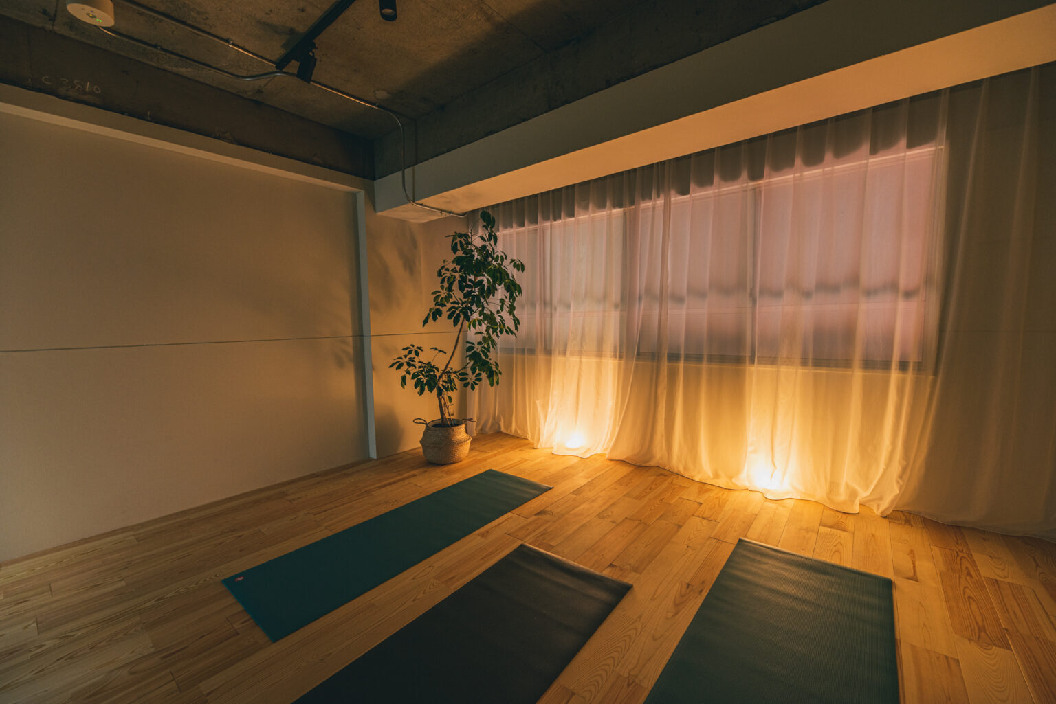 🌙【神保町】ととのい座禅＆夜さんぽ🧘🍀🌙