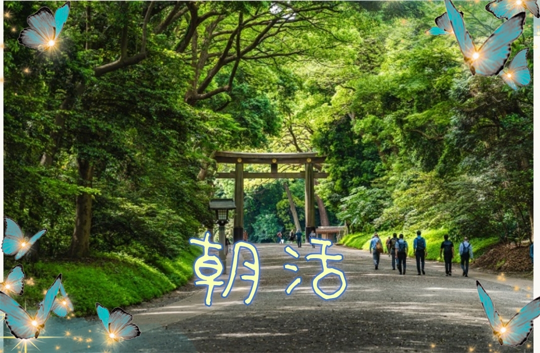 【40〜50代】朝活✨✨朝ごはん&お散歩