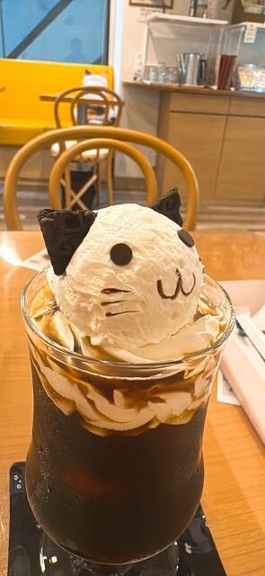 【女性主催】猫の喫茶店に行こう！おすすめはアイスウィンニャー🌺🐽🌸