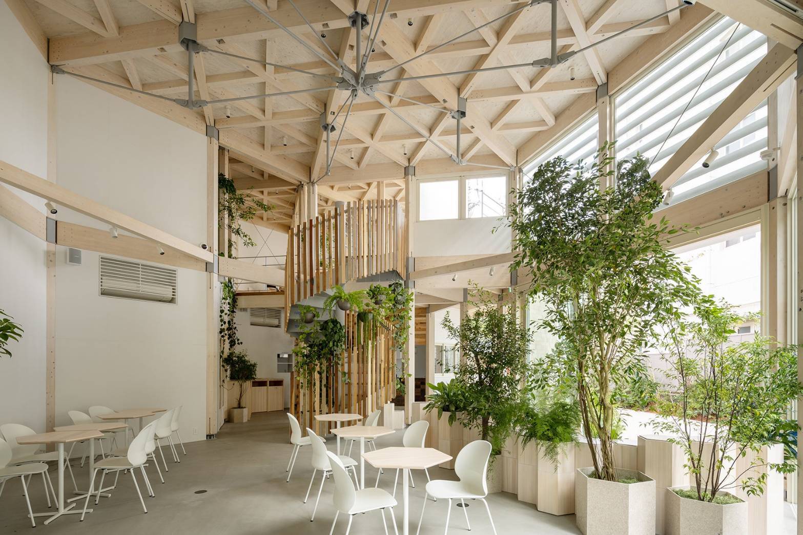 【男女主催】植物園のようなカフェに行こう！おすすめはジェラートです🐽🐽