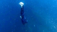 7月27日(日)IOP(伊豆海洋公園)フリッパー大会🐬