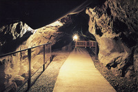 【洞窟探検】江ノ島の神秘✨洞窟探検＆絶景散策ツアー！初夏限定・冒険好き大集合🔦