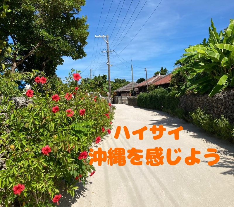 ☆三軒茶屋☆9月6日（土）沖縄料理🌺飲み放題付き🍻
