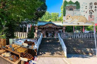 【下北の神社で猫御朱印！】7/26 10時半　北澤八幡神社！【下北で食べ歩きも！】