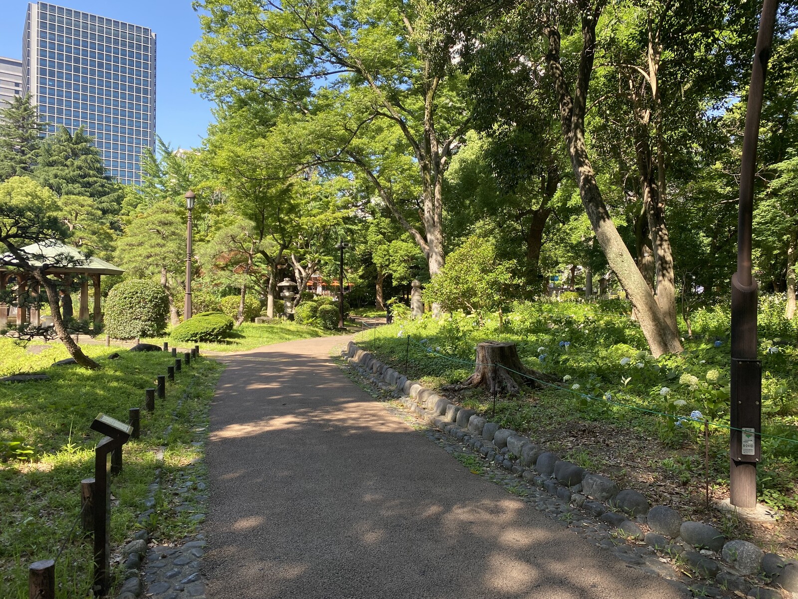 🚶🏻【日比谷公園】朝さんぽ と カフェトーク